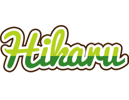 Hikaru golfing logo
