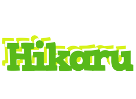 Hikaru picnic logo