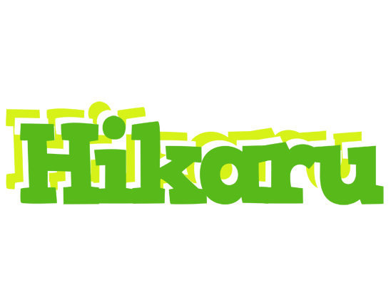 Hikaru picnic logo