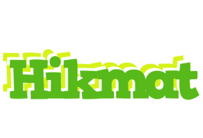 Hikmat picnic logo