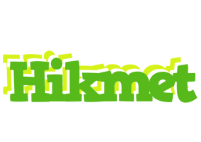 Hikmet picnic logo