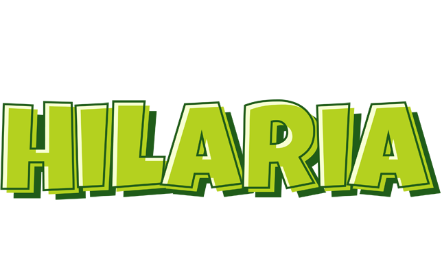 Hilaria summer logo