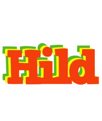 Hild bbq logo