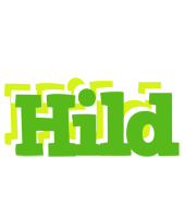 Hild picnic logo