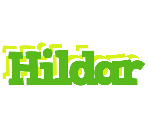 Hildar picnic logo