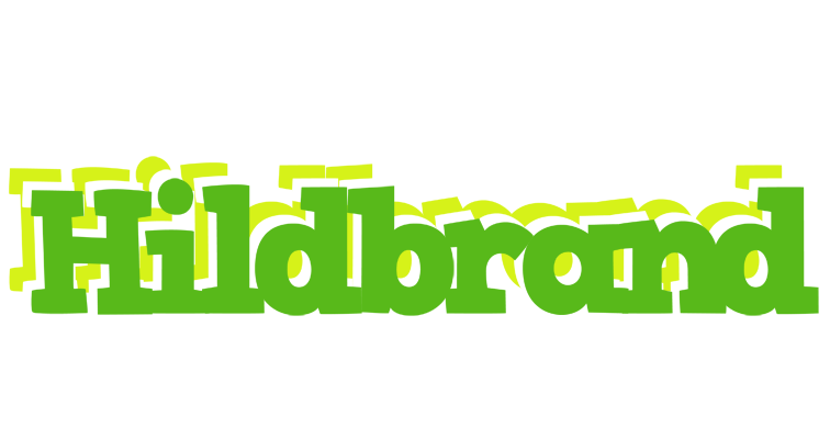 Hildbrand picnic logo