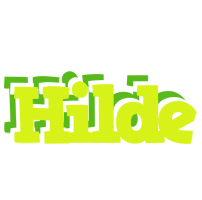 Hilde citrus logo