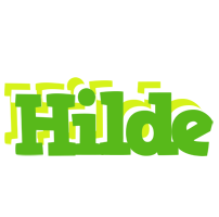 Hilde picnic logo