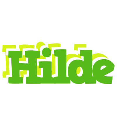 Hilde picnic logo