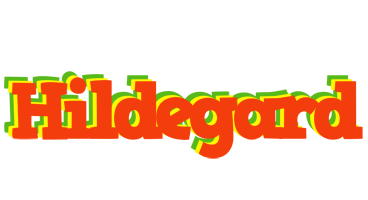 Hildegard bbq logo