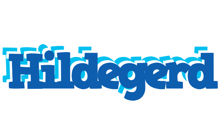 Hildegerd business logo