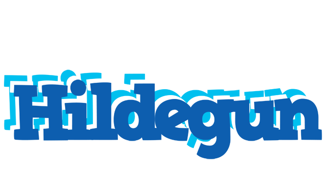Hildegun business logo