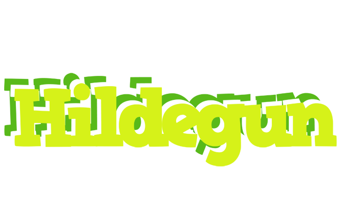 Hildegun citrus logo