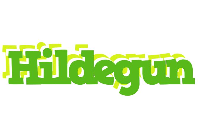 Hildegun picnic logo