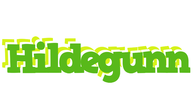 Hildegunn picnic logo