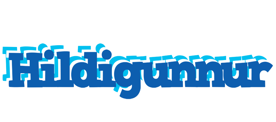 Hildigunnur business logo