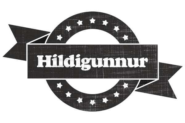 Hildigunnur grunge logo