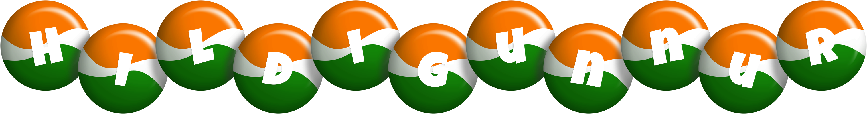 Hildigunnur india logo