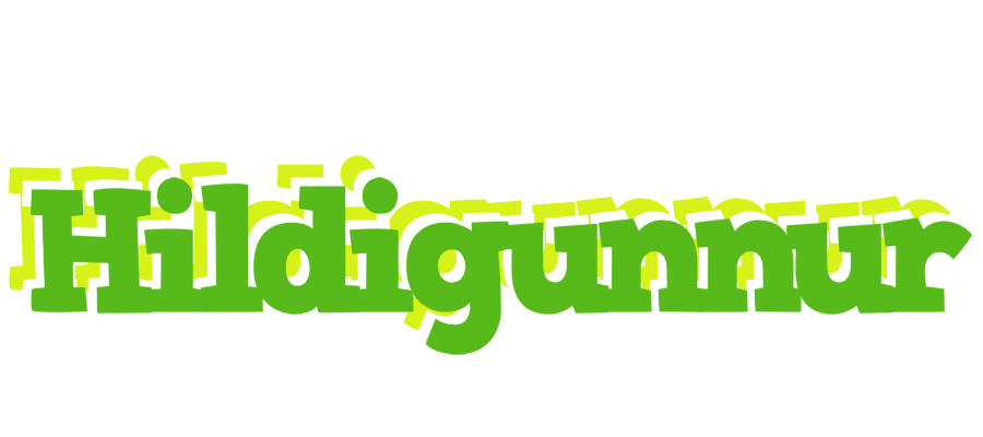 Hildigunnur picnic logo