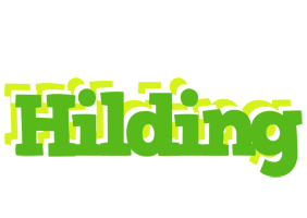 Hilding picnic logo