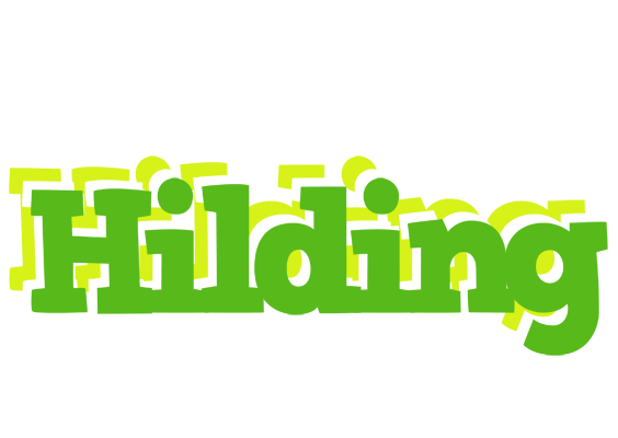 Hilding picnic logo