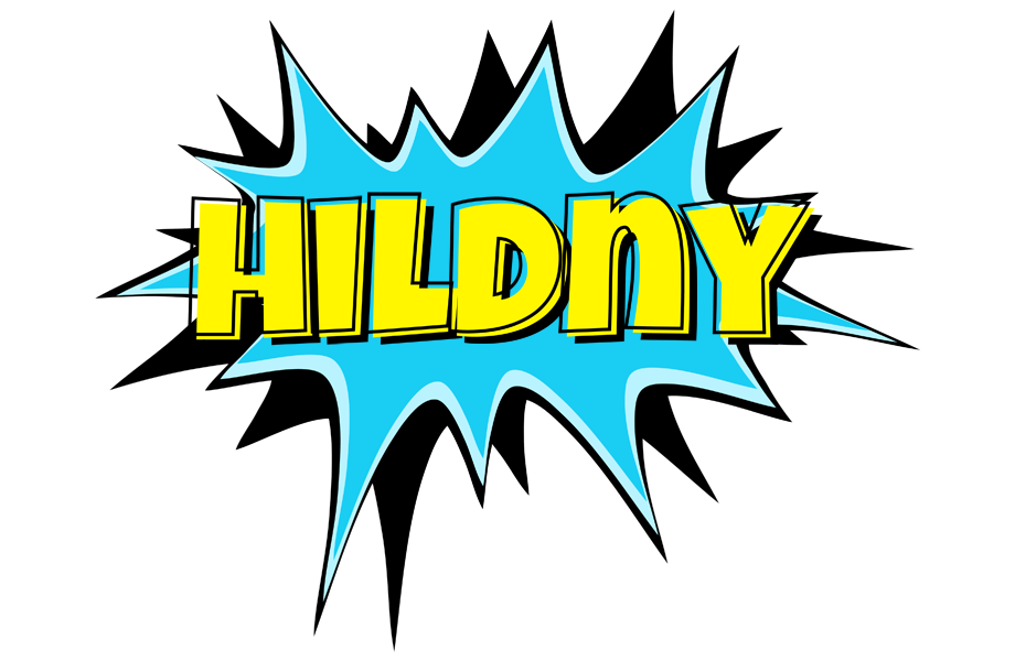 Hildny amazing logo