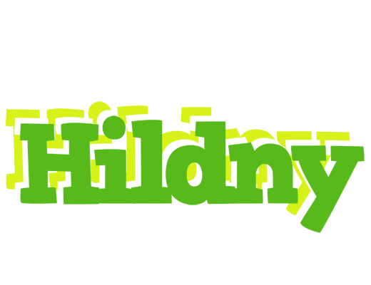 Hildny picnic logo