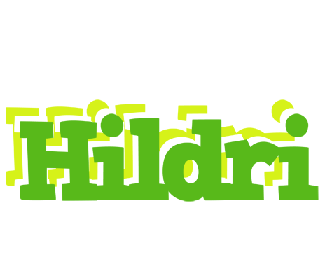 Hildri picnic logo