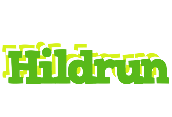 Hildrun picnic logo