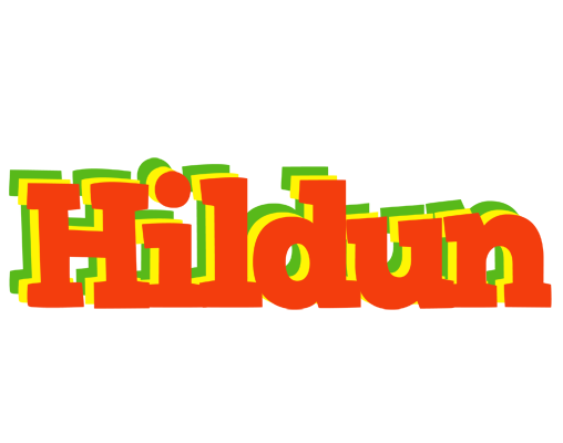 Hildun bbq logo