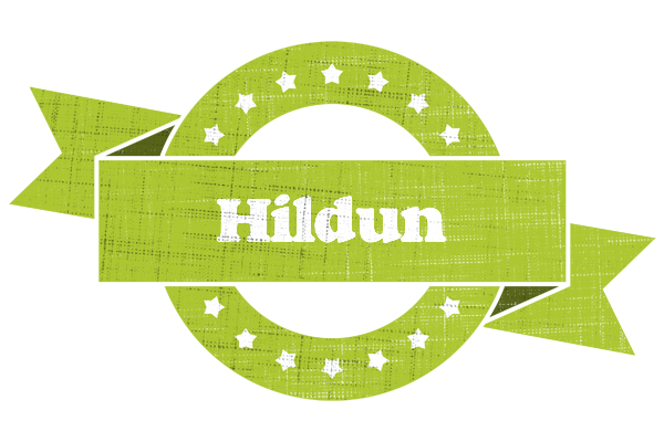 Hildun change logo