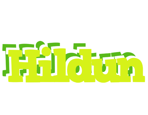 Hildun citrus logo