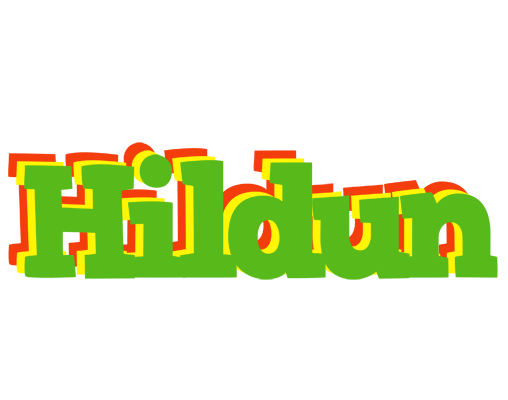 Hildun crocodile logo