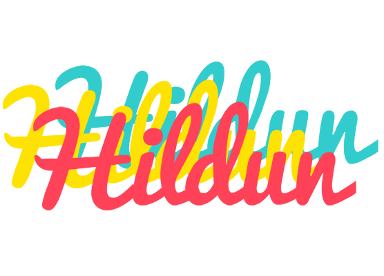 Hildun disco logo