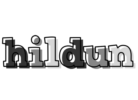 Hildun night logo
