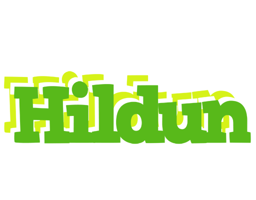 Hildun picnic logo