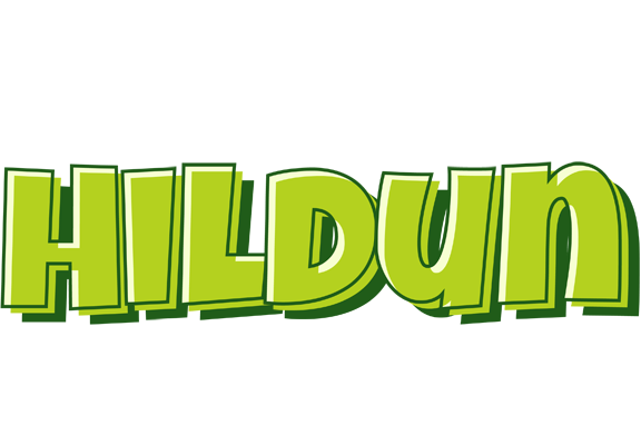 Hildun summer logo