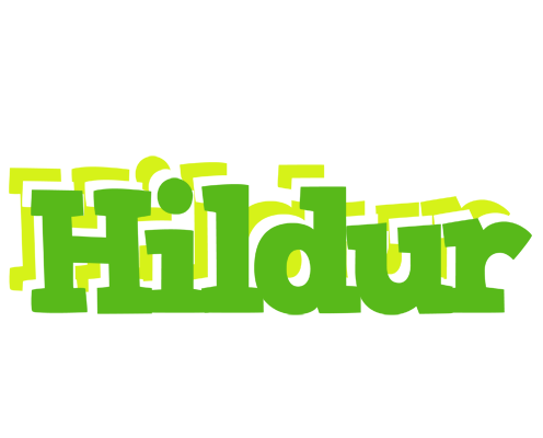 Hildur picnic logo