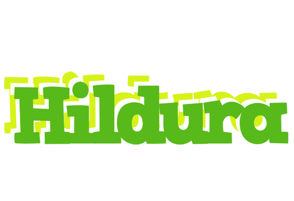 Hildura picnic logo