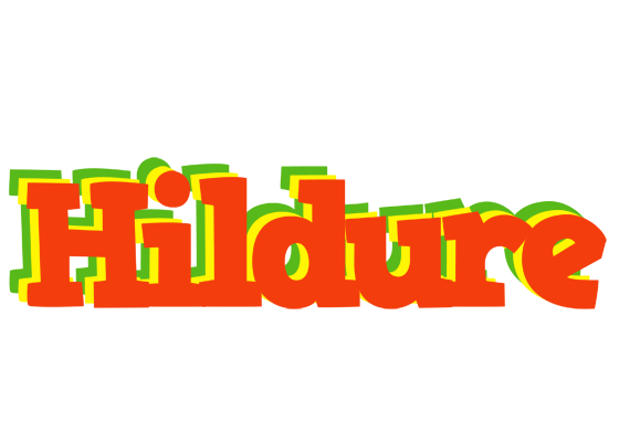 Hildure bbq logo