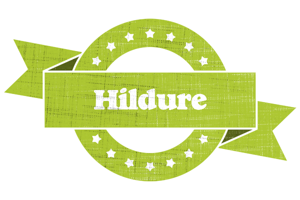 Hildure change logo