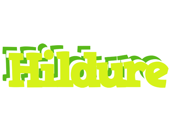 Hildure citrus logo