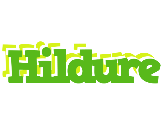 Hildure picnic logo