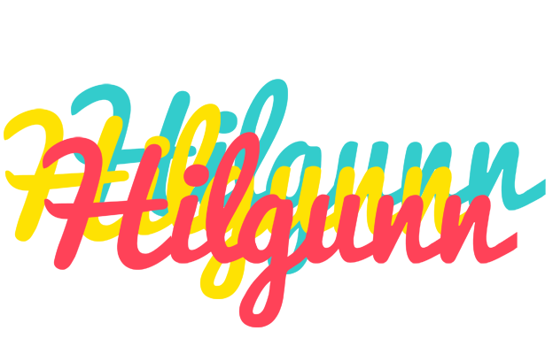 Hilgunn disco logo