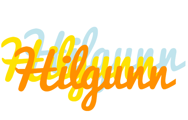 Hilgunn energy logo