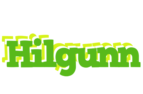 Hilgunn picnic logo