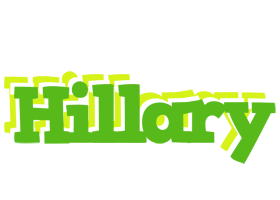 Hillary picnic logo