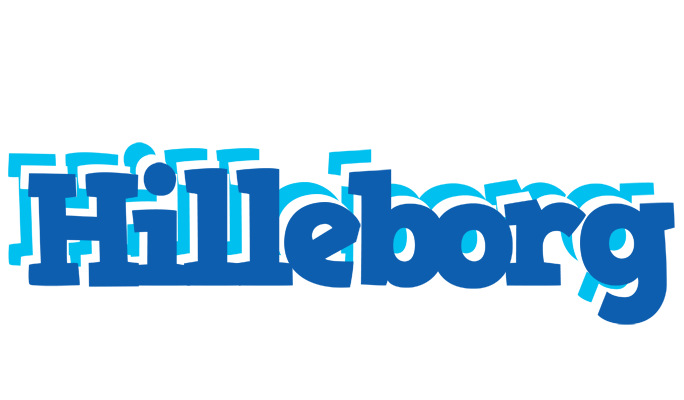 Hilleborg business logo