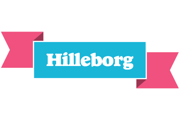Hilleborg today logo