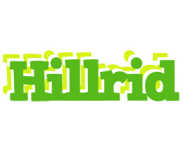 Hillrid picnic logo